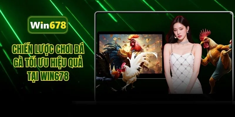 Chiến lược chơi đá gà tối ưu hiệu quả tại Win678