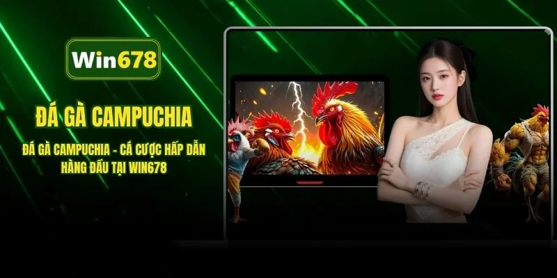 Đá Gà Campuchia - Cá Cược Hấp Dẫn Hàng Đầu Tại WIN678