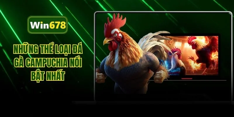 Những thể loại đá gà Campuchia nổi bật nhất